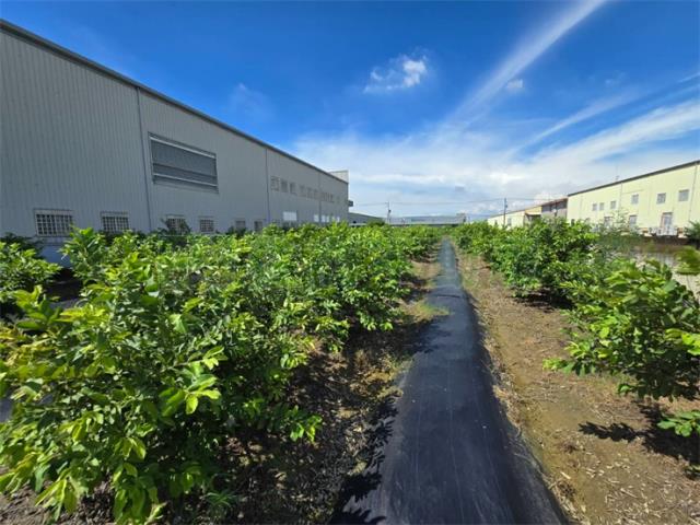 岡山農地-3