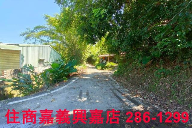 竹崎農地-11