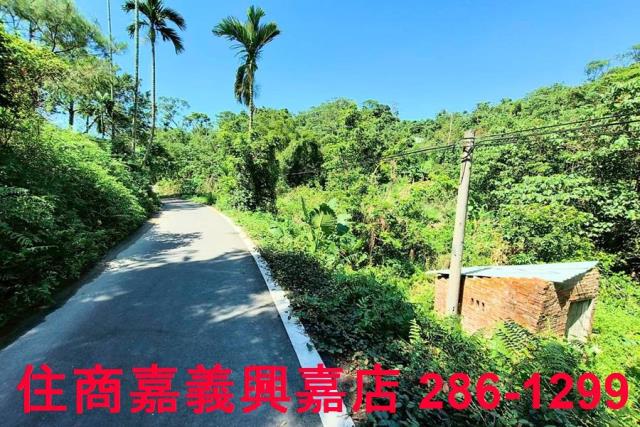 竹崎農地-9
