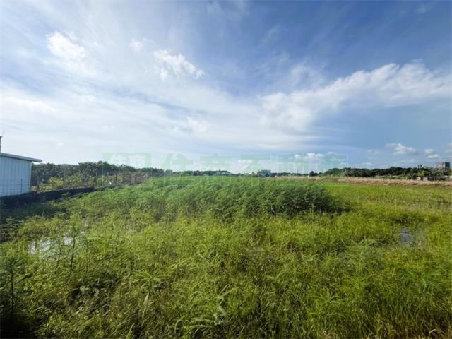 橋頭農地-3