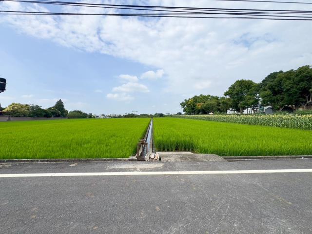 草屯農地-1