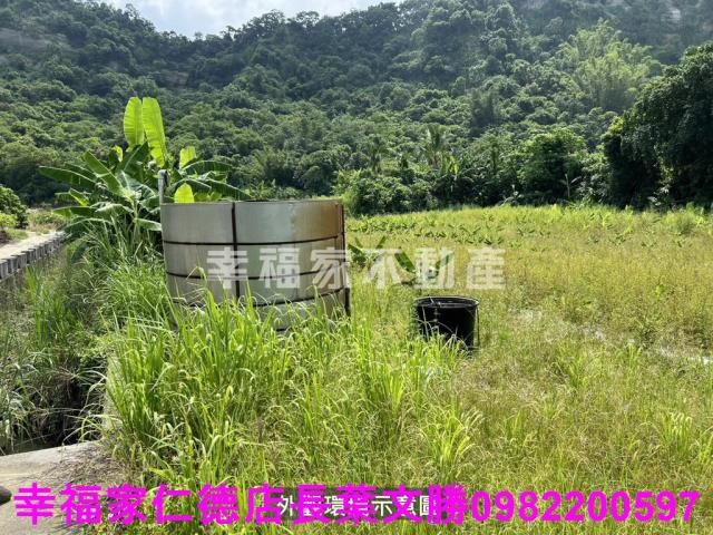 台南農地-11