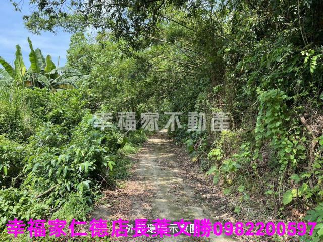 台南農地-15