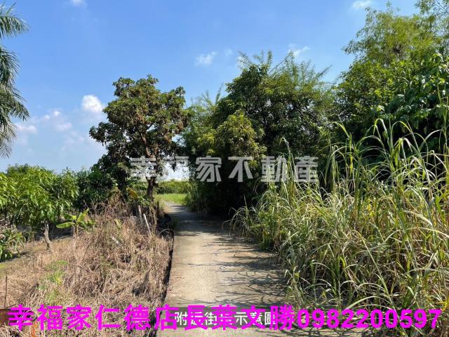 台南農地-14