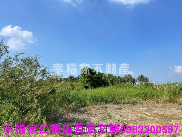 台南農地-15