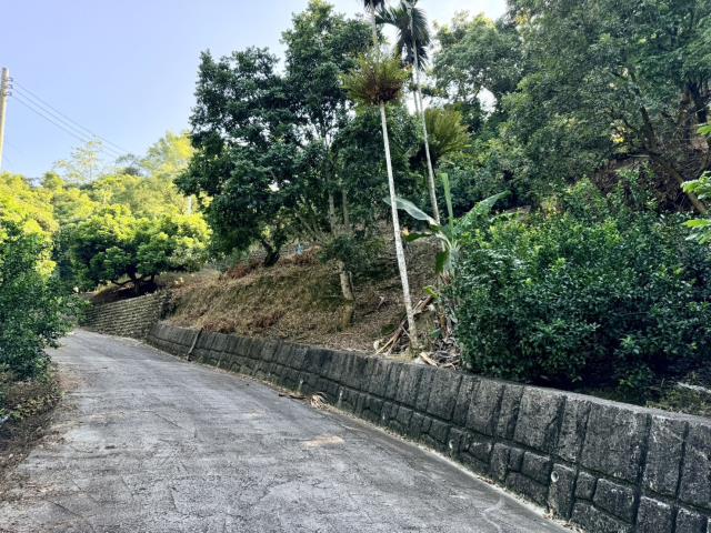 南投農地-15