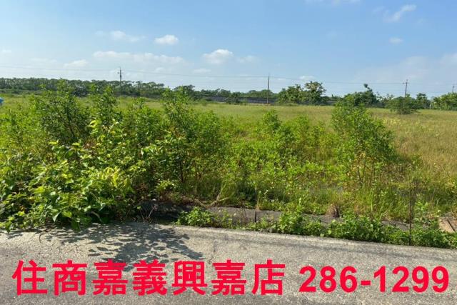 嘉義鹿草農地-4