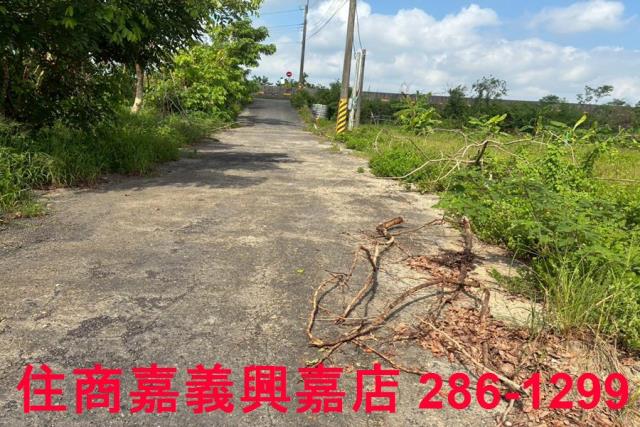 嘉義鹿草農地-5