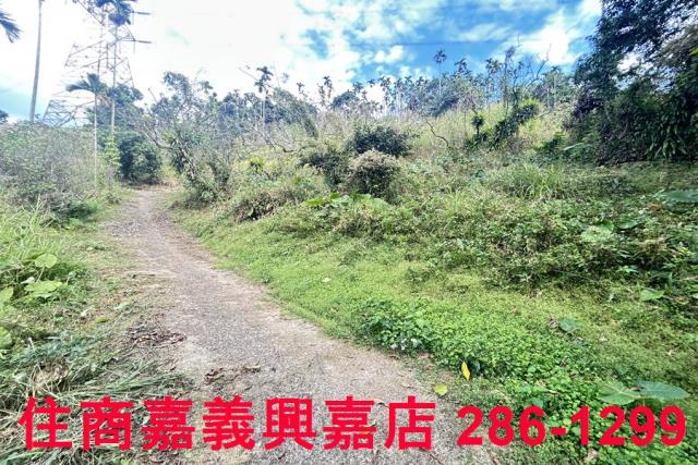 嘉義番路農地-3