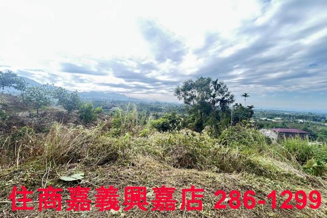 嘉義番路農地-7