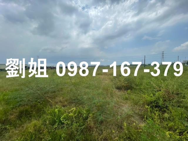 屏東新園農地-3