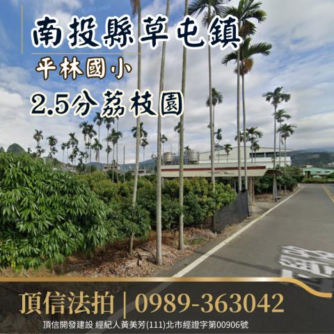 草屯拍賣農地-2