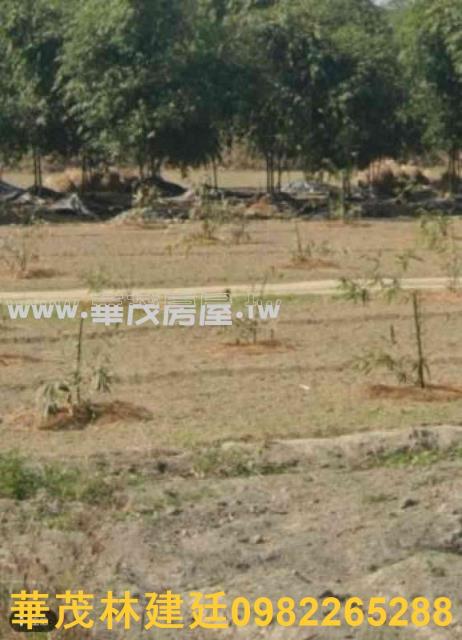 嘉義大林農地法拍-2
