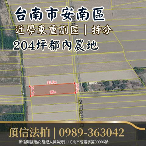 安南法拍農地-3