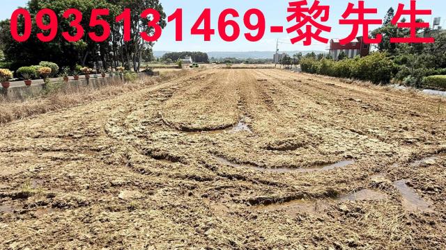 楊梅農地-15