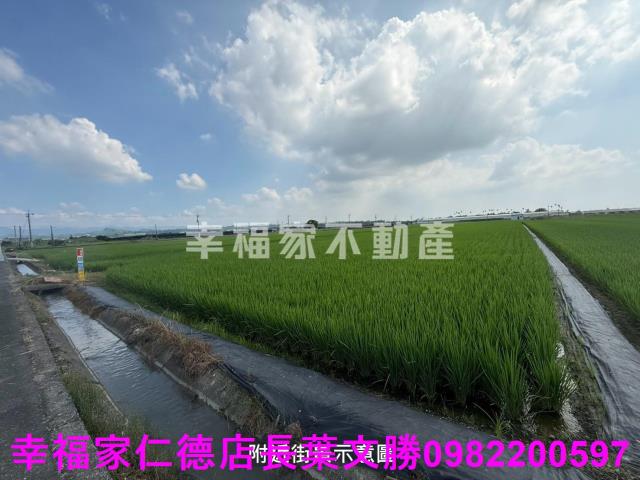 台南柳營農地-1