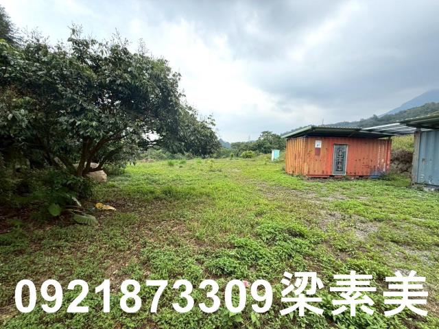 台南東山農地-4