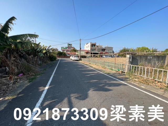 台南新市農地-6