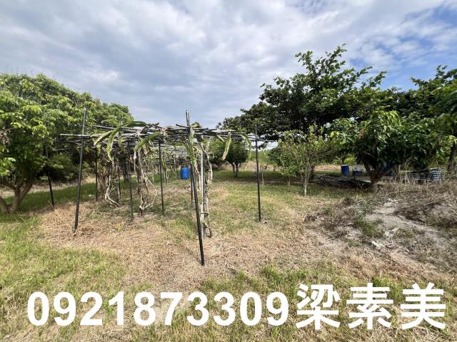 安南農地-2
