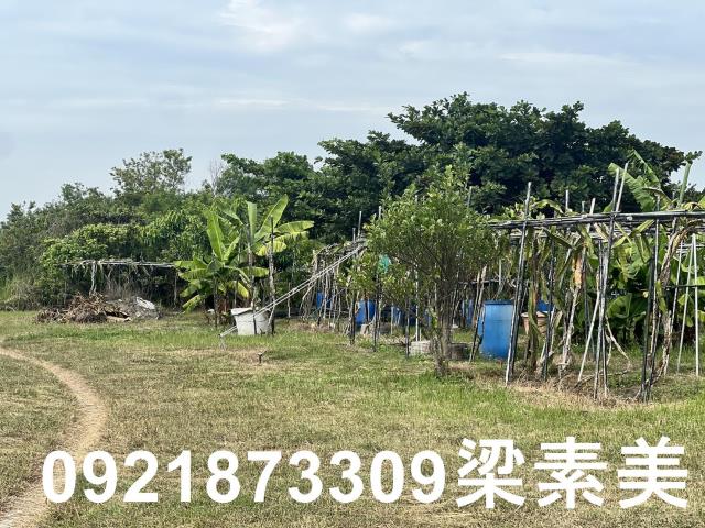 安南農地-7