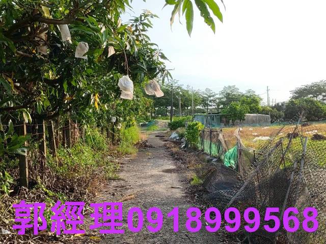新化農地-12