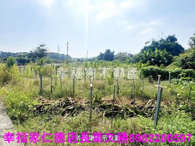 柳營農地-14