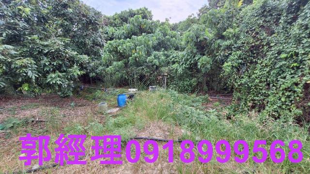 官田農地-5