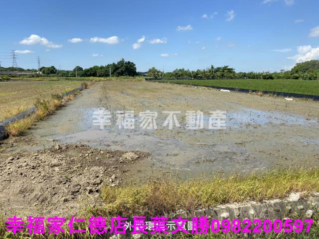柳營農地-3