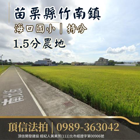 竹南法拍農地-2