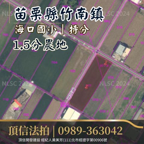竹南法拍農地-3