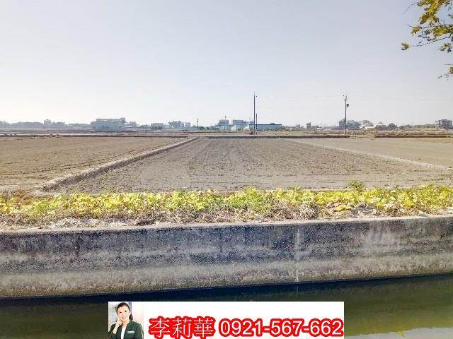 六甲農地-4