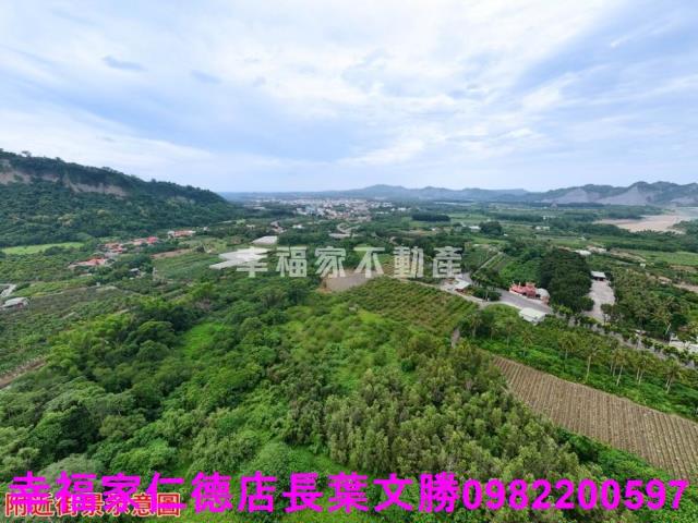 玉井農地-9