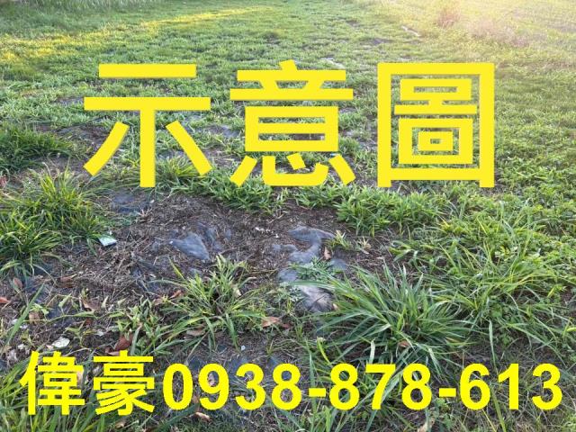 屏東內埔工業地-1