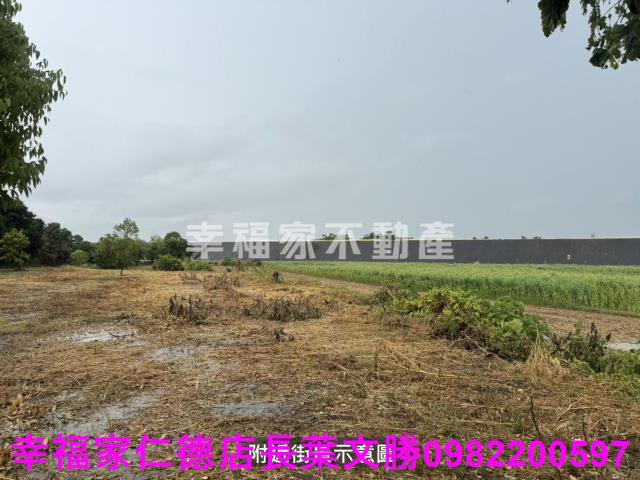 台南東山農地-9