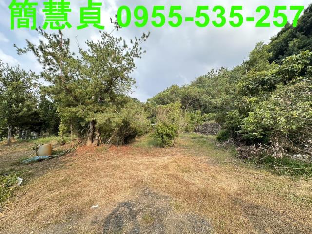 草屯農地-2