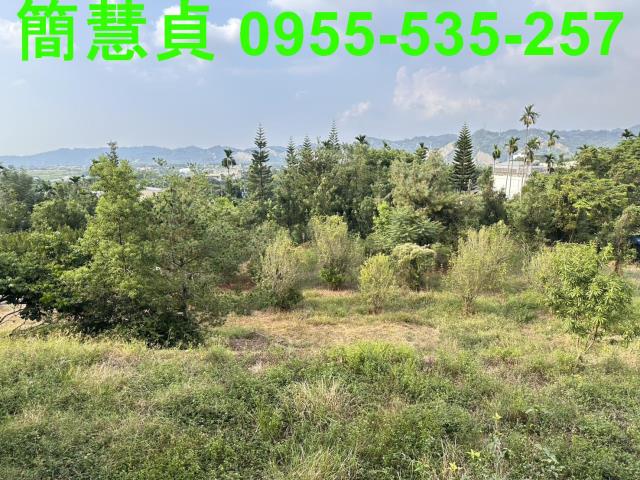 草屯農地-3