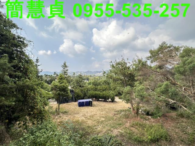 草屯農地-4