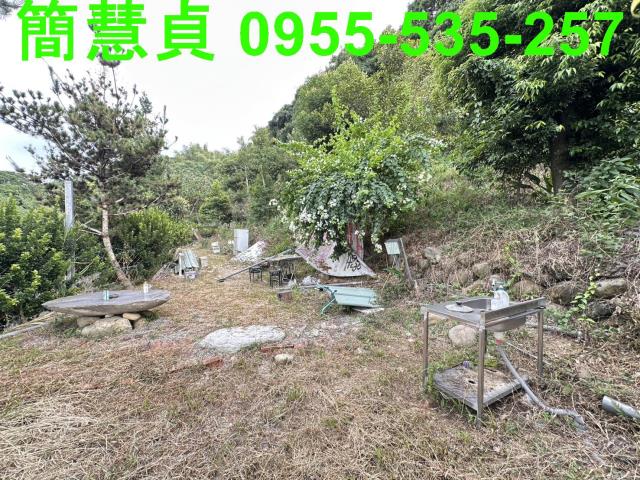 草屯農地-5