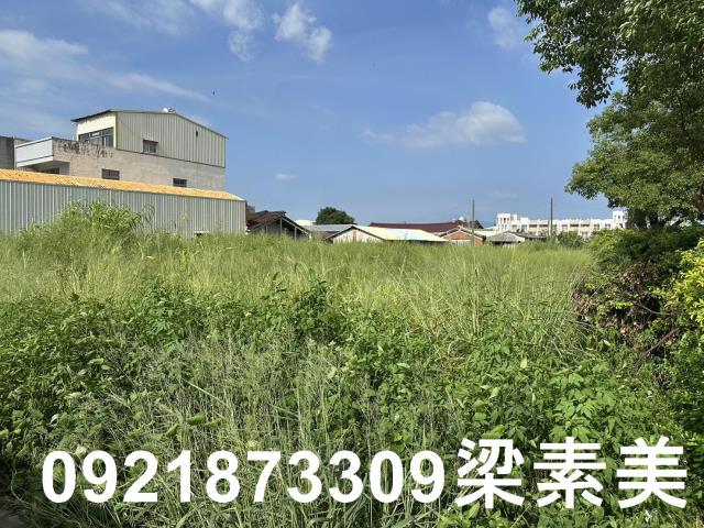 台南官田建地-5