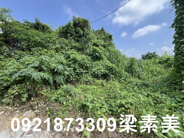 台南大內建地-7
