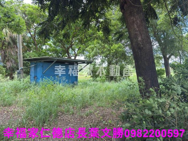 台南新市農地-10