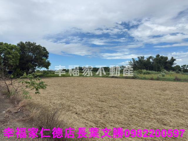 台南新市農地-5