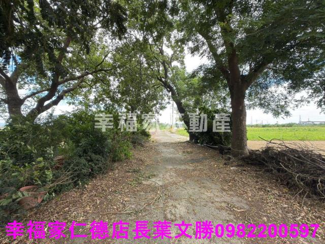 台南新市農地-8