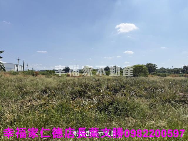新市農地-12