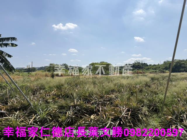 新市農地-13