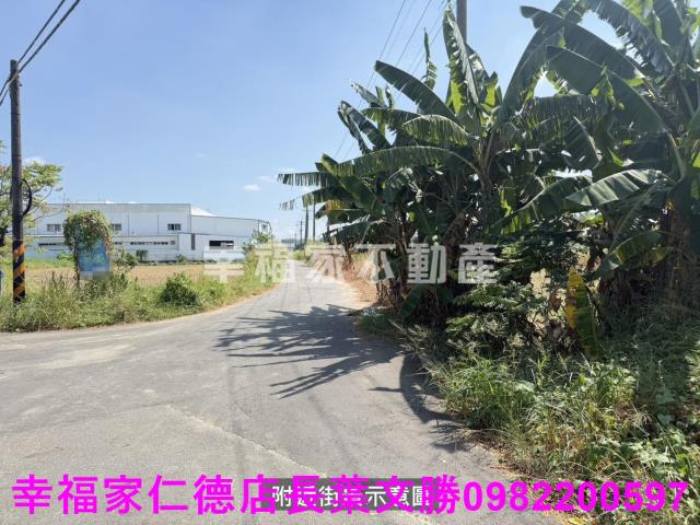 新市農地-2