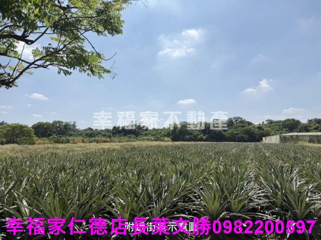 新市農地-8