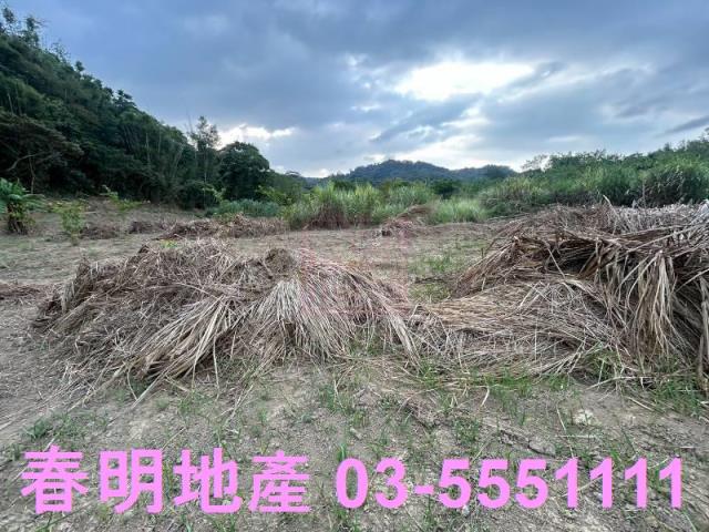 新竹農地-9