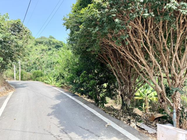 南投中寮農地-12