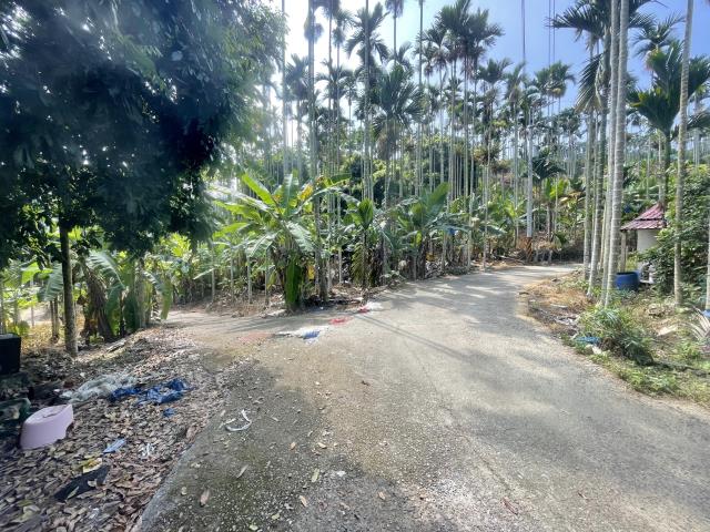 南投名間農地-1